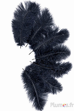 Strauss - 30-40 cm - antrazit